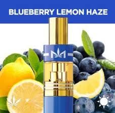Dime Blueberry Lemon Haze 0.9g Disposable