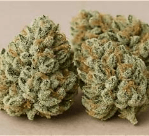 Native Care - Lit OG, 3.5 grams