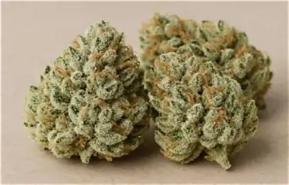 Native Care - Lit OG, 3.5 grams