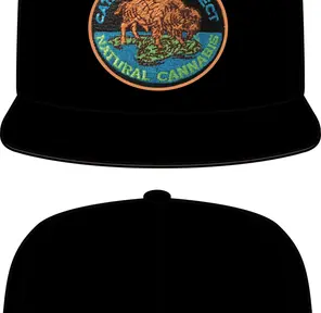 Catalina Connect: Hat - Black, Original Snapback