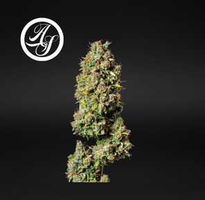 Alt Sol | Cherry Diesel - Flower | 3.5g | Hybrid