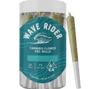 Wave Rider Silver Haze $18