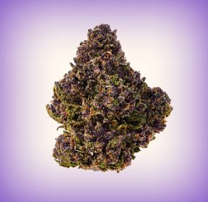 GRAPE PIE 1/2 Ounce Top Shelf INDOOR Grown 30.69% THC