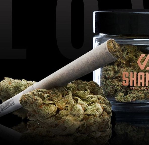 102p. Modified Banana 1g -Shango PreRoll