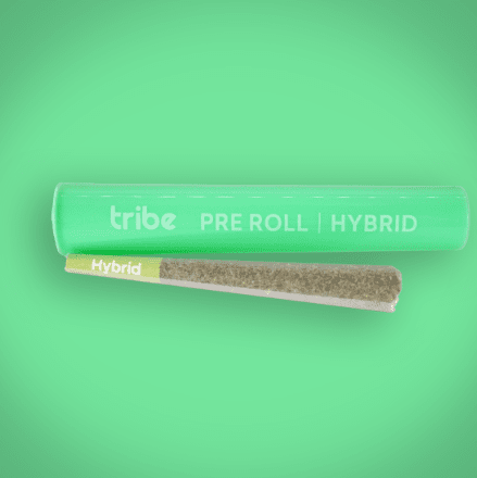 Apples & Bananas x High Octane - Hybrid - Flower Pre Roll