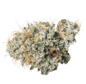 CANNABIOTIX - 3.5G CASINO KUSH