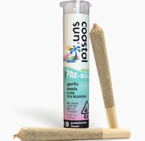 Coastal Sun - Garlic Oasis Infused 2 Pack Preroll 1.5g