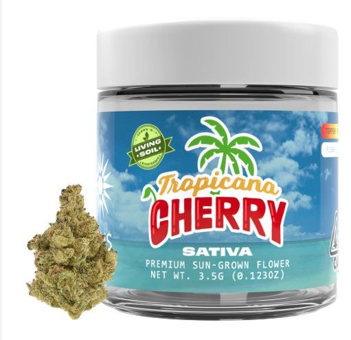 Solis Flower Tropicana Cherry 3.5g