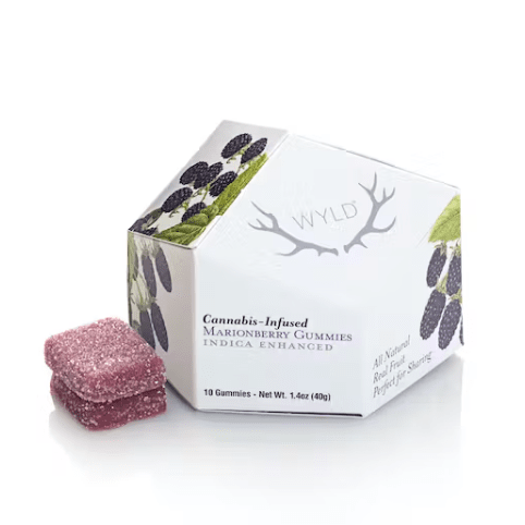 Wyld Fruit Chews Marionberry 100mg
