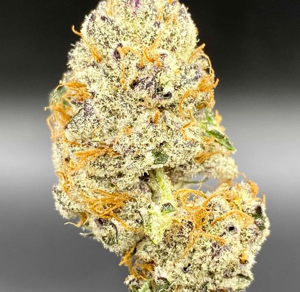 Triple Chocolate Chip