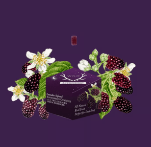 Boysenberry 1:1:1 CBD+CBN Enhanced Gummies
