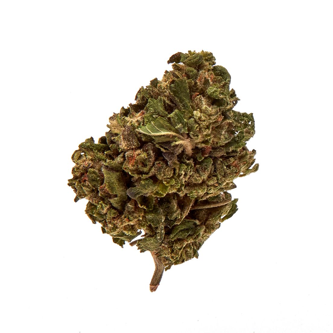 Space Breakers 14g