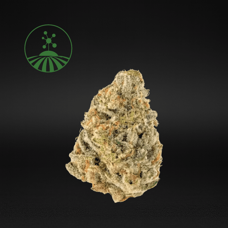Molecular Farms | Citrus Dream - Flower | 3.5g | Hybrid