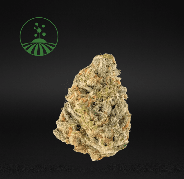 Molecular Farms | Citrus Dream - Flower | 3.5g | Hybrid