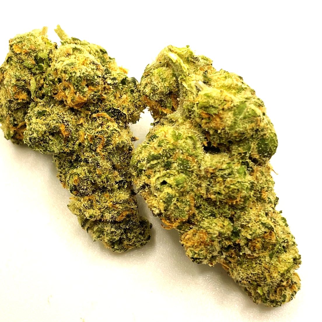 BITTER SWEET