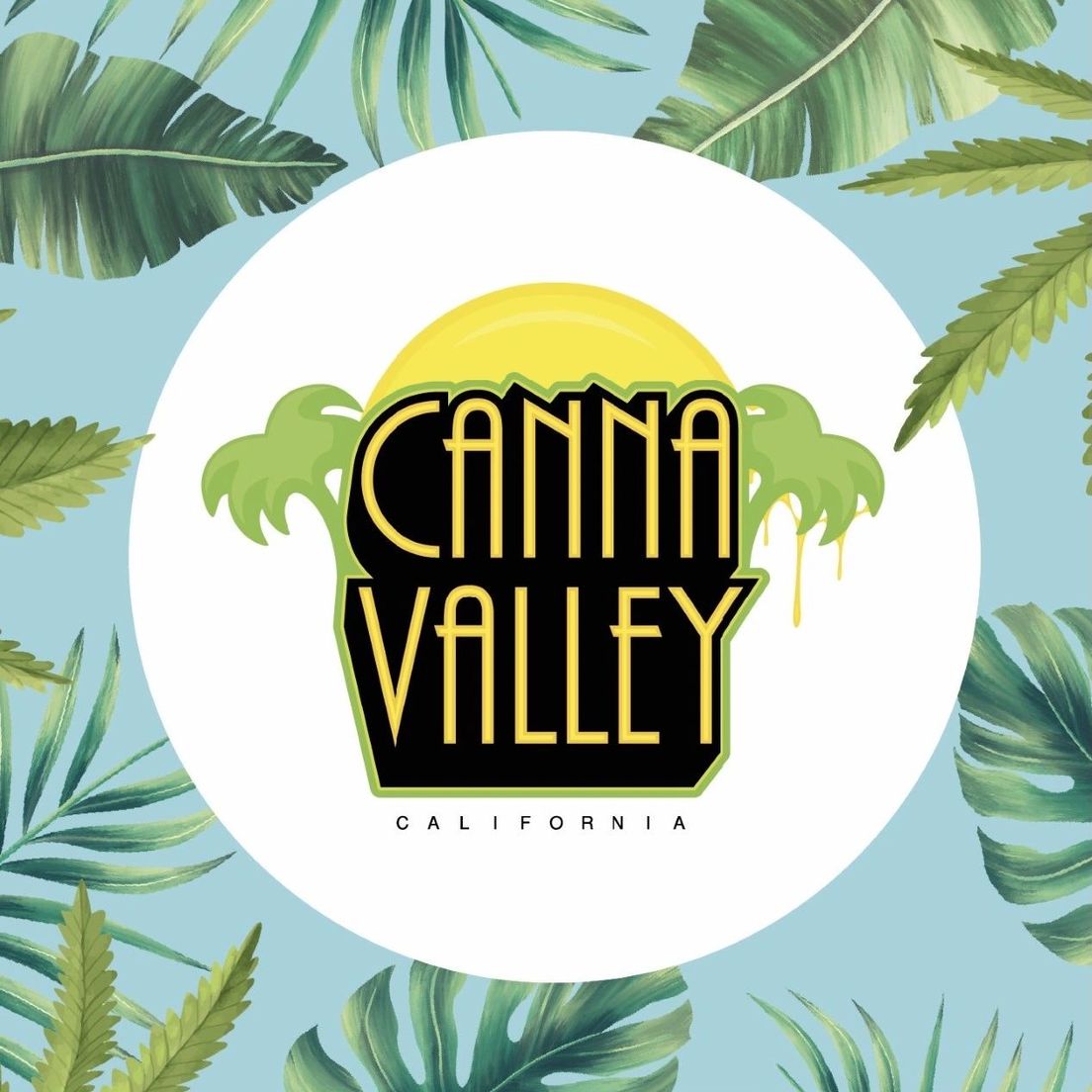 Canna Valley - Sugar - 1g - Gotti Beltz