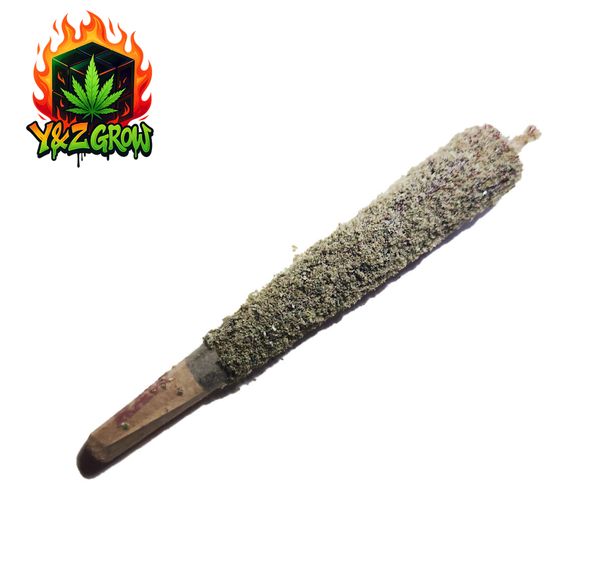 Moon Rocket Preroll King Size Infused with RSO & Kief