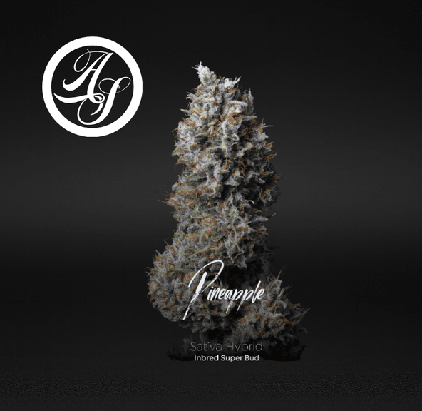 Alt Sol | Pineapple - Flower | 3.5g | Sativa-Hybrid