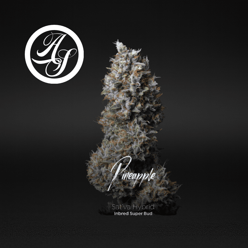 Alt Sol | Pineapple - Flower | 3.5g | Sativa-Hybrid