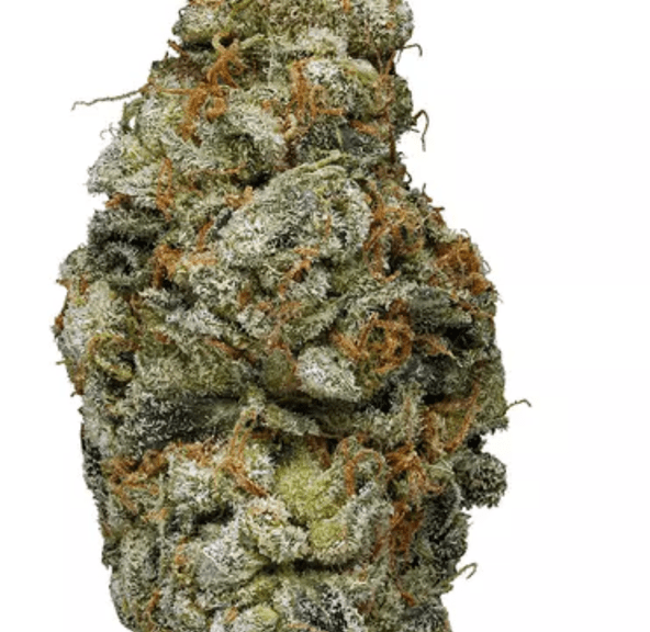 Cali Bricks