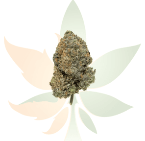 Atomic Pink Kush AAA