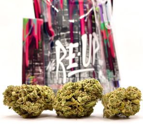 *Deal! $79 1 oz. Berry Pie (26%/Sativa) - The Re-Up + Multicolor Writing Pen + Rolling Papers