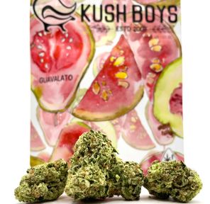 PRE-ORDER ONLY 1/8 Guavalato Cake (27.35%/Hybrid - Sativa Dominant) - Kush Boys
