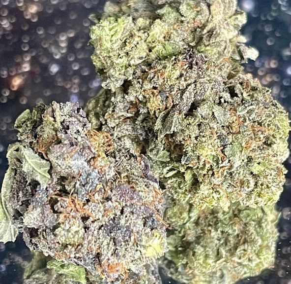 (4*.) Black Afghan