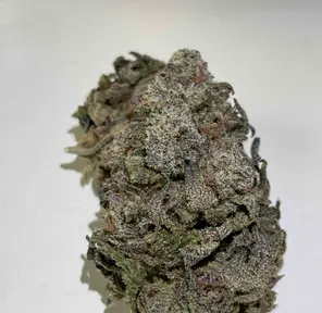 WEDDING RUNTZ **160 OZ SPECIAL**
