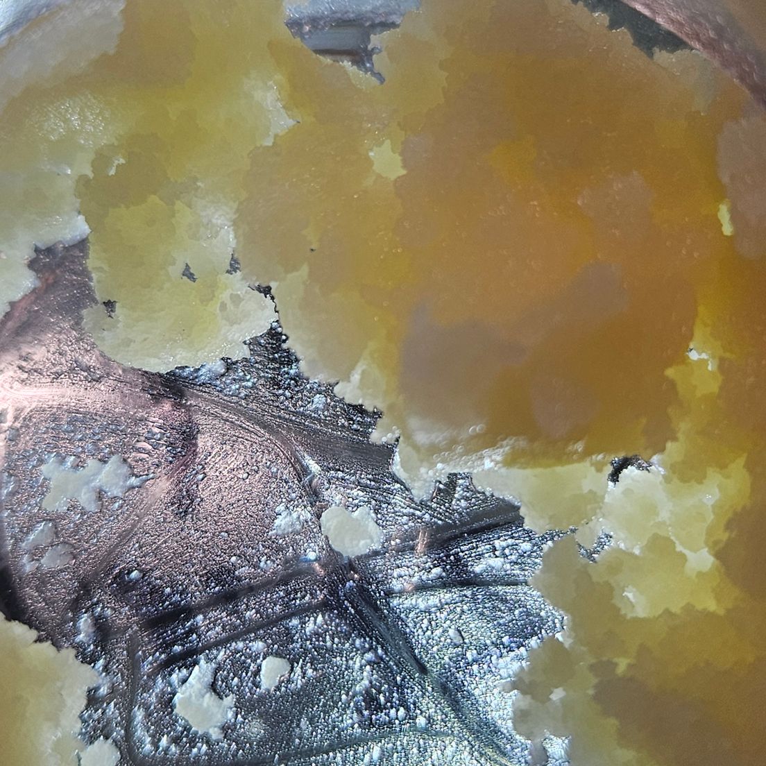 Dissolv - Dabs - Holly Berry - 1g