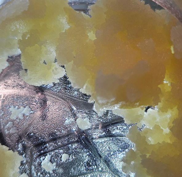 Dissolv - Dabs - Holly Berry - 1g