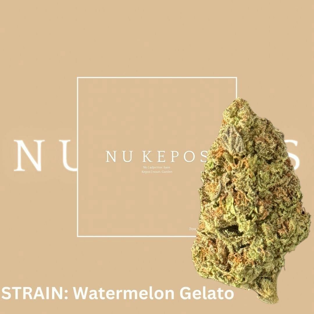 Kepos - Watermelon Gelato - Premium Flower 3.5