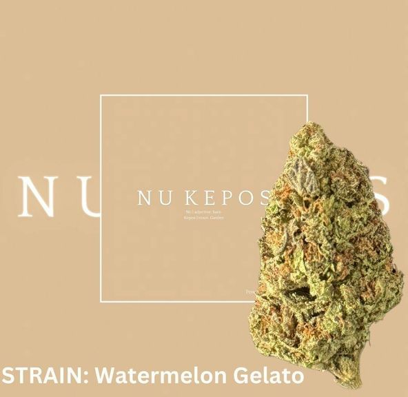 Kepos - Watermelon Gelato - Premium Flower 3.5