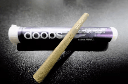 Doobs Member Berry 1G Pre-roll