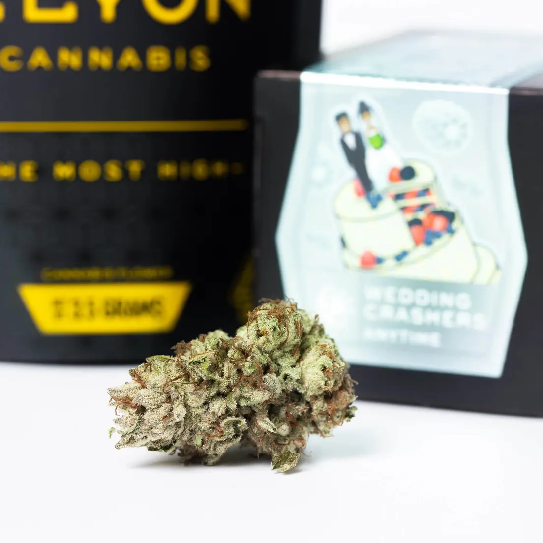 Elyon: Wedding Crasher (3.5G)