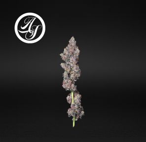 Alt Sol | Vice City - Flower | 3.5g | Hybrid