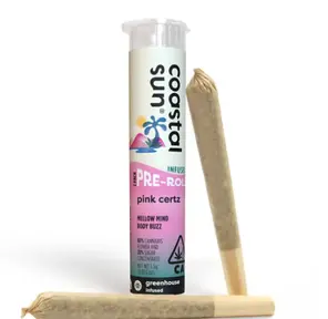 Coastal Sun - Pink Certz 2pk Infused Preroll 1.5g
