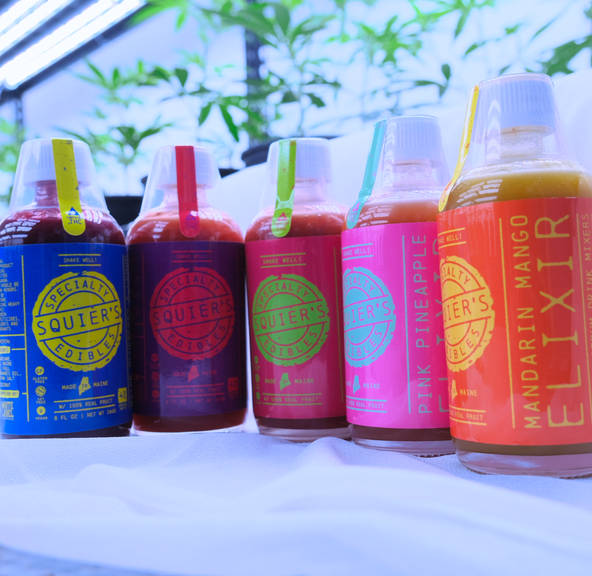 Squiers- Blueberry Lemon- Full Spectrum Elixer- 400mg