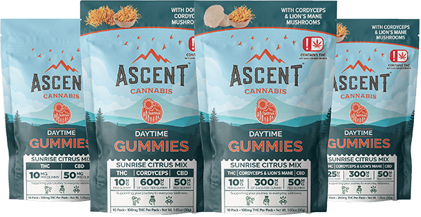 Ascent | 25mg | 10 Pack Preworkout Mushroom Gummy | CBD / Delta 9