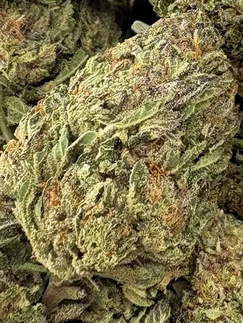 14G - WATERMELON (AA+)