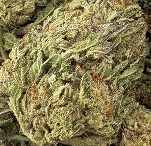 14G - WATERMELON (AA+)