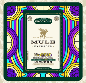 Mule Extracts | NiteQu4d Blackberry Lemonade | 2 pack: 100mg THC: 50mg CBD: 200mg CBN: 50mg CBG