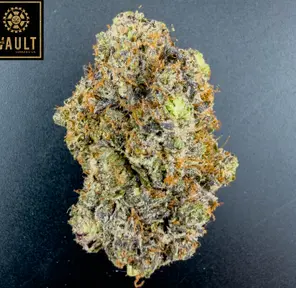 7g - EL JEFE (AAAA+)