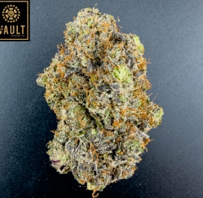7g - EL JEFE (AAAA+)