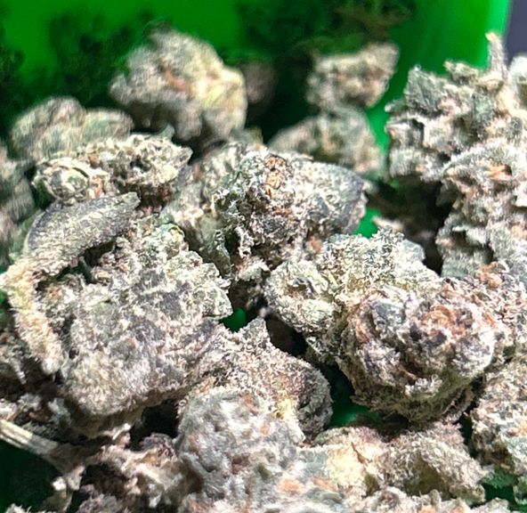Orange Sherbet Runtz Flower
