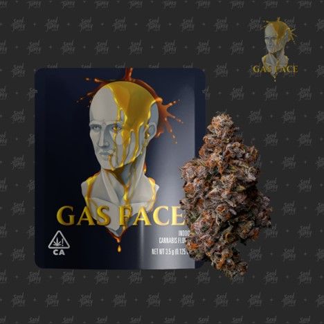 Seed Junky | Bud | Gas Face | 3.5g | Hybrid | 25.89% THC