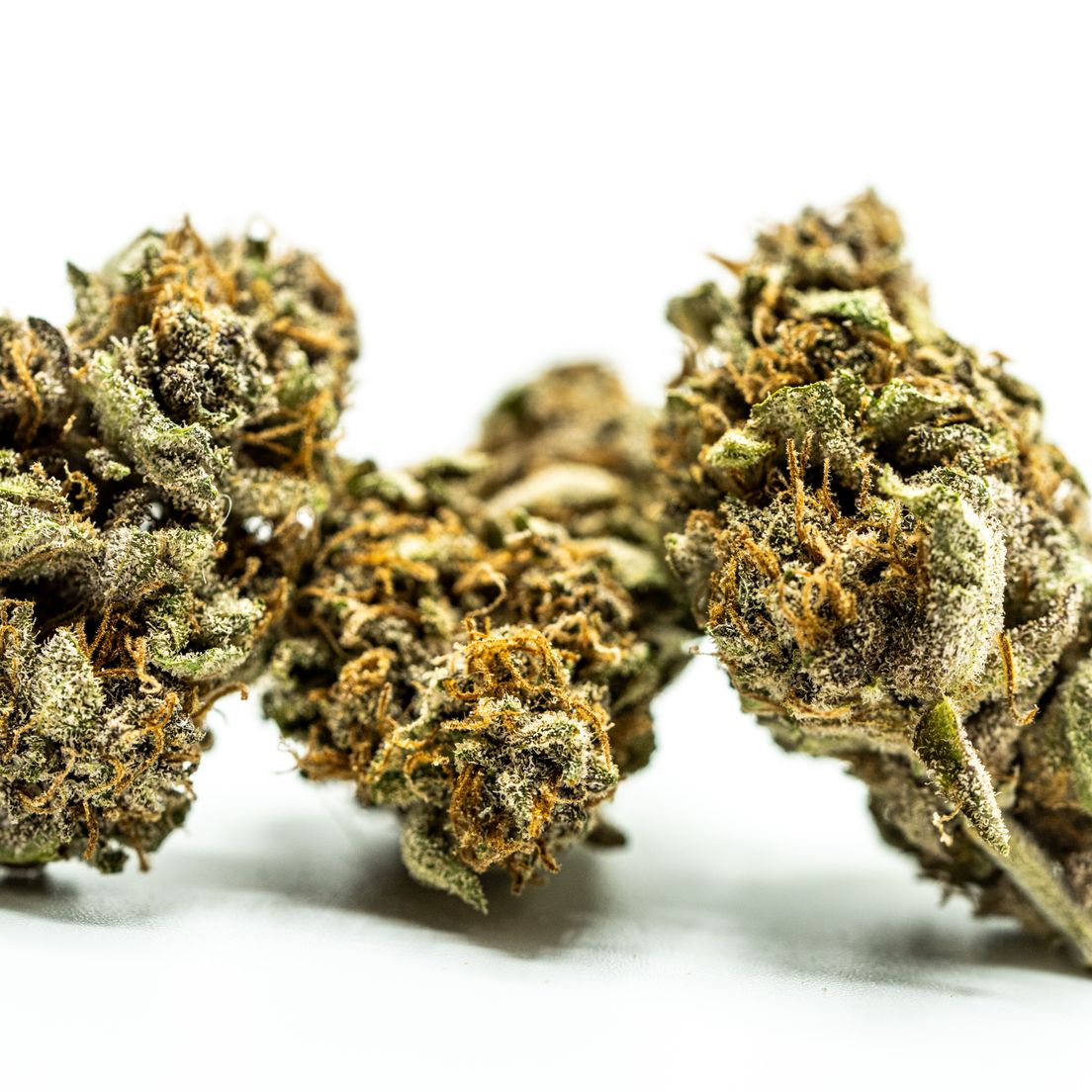 Blueberry Muffin