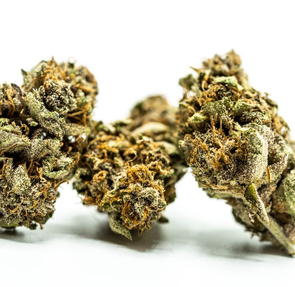 Blueberry Muffin
