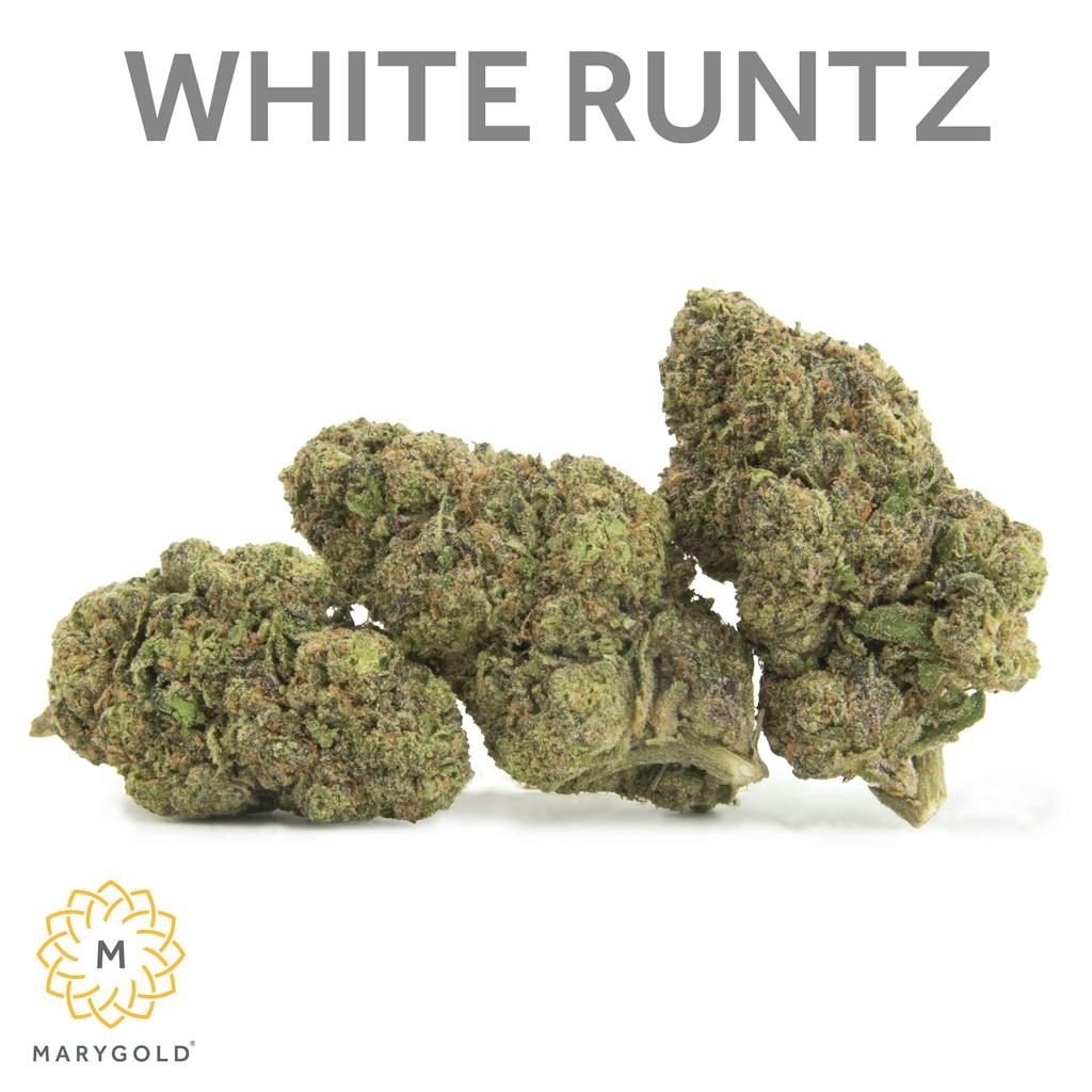 Marygold - White Runtz 3.5g