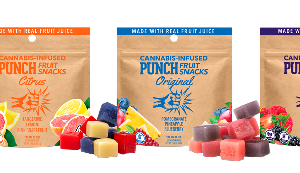 100mg Citrus Fruit Snacks - PUNCH EDIBLES
